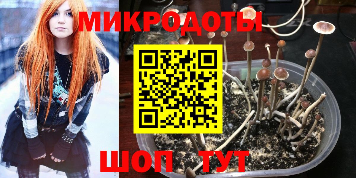 Галлюциногенные грибы MAGIC MUSHROOMS  Псилоцибиновые грибы Psilocybine cubensis  Глазов  Вход с VPN 