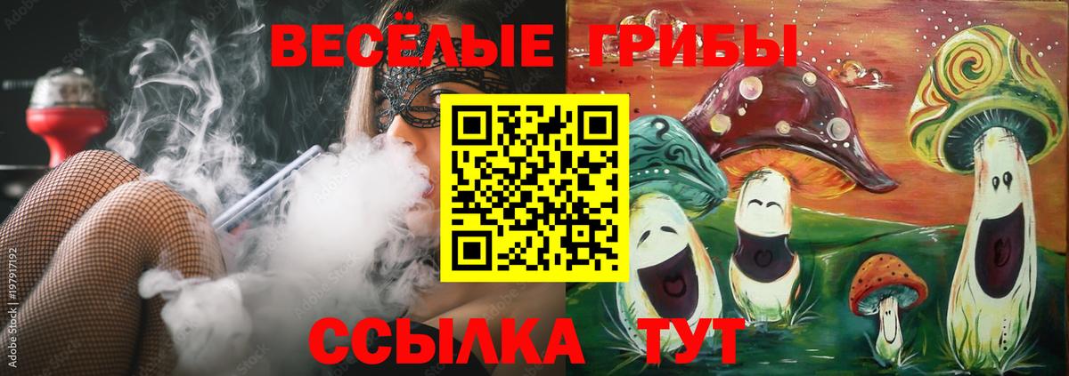 Псилоцибиновые грибы MAGIC MUSHROOMS Глазов